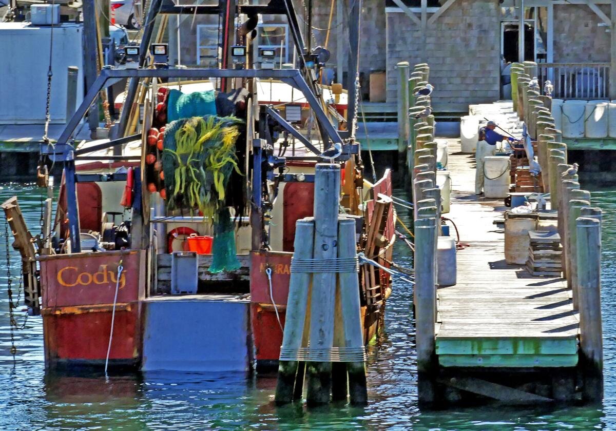 New app connects Rhode Island fishermen directly with customers