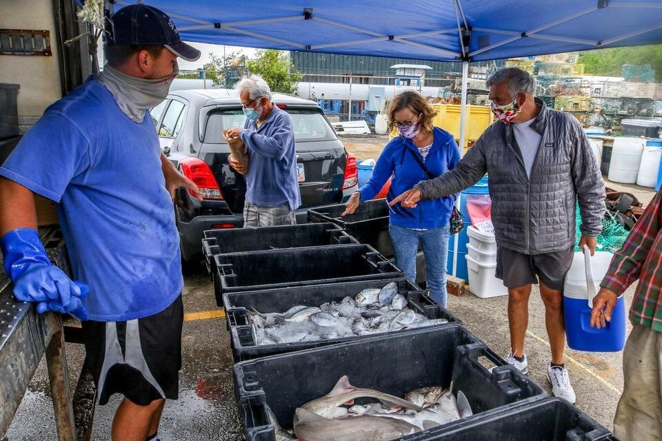 Newport fisherman among those who are selling direct to public