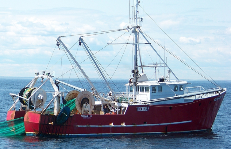 Smartphone app connects local fishermen with customers