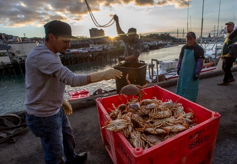  Dungeness crab 2019: Where to buy in the Bay Area NOW (or soon) 
